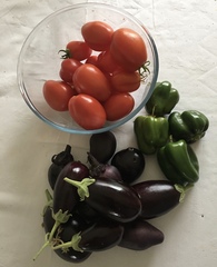 Allotment/Veg patch Thread 17 - onwards and upwards