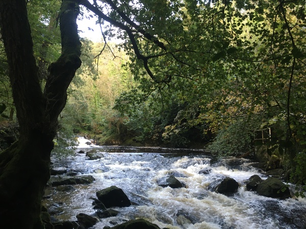 Any Witches Here? Part 15