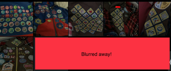 AIBU to think my DD should have more Brownies badges by now?