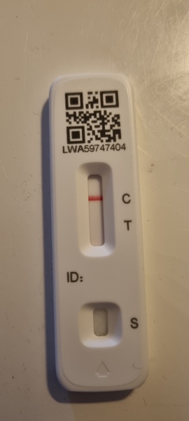 Could blood on the swab cause a false positive LFT?