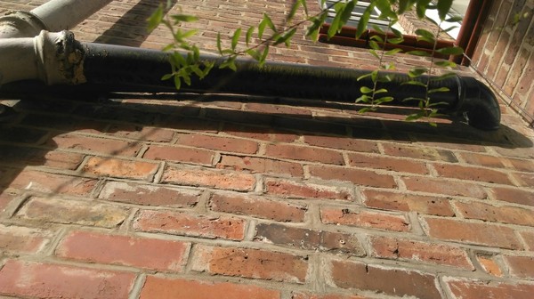 Damp issues in terraced house