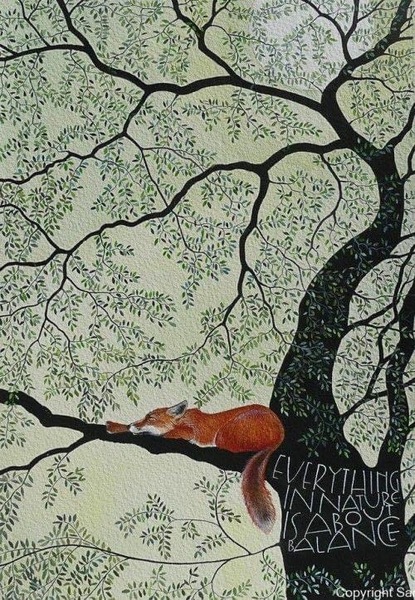 Any Witches Here? Part 15