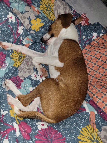 Primary school auties: summer and the new academic year - thread 7