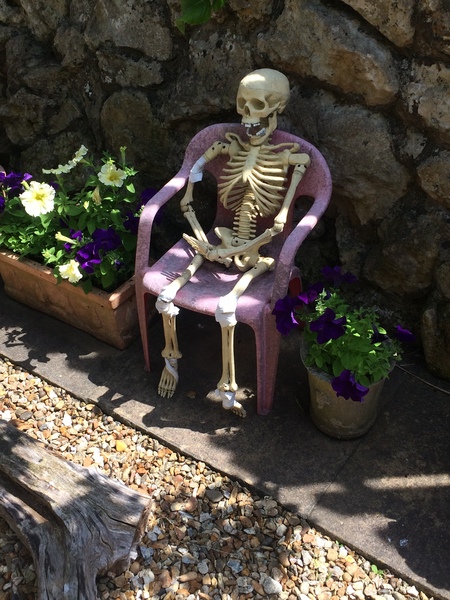 How much would you spend on Halloween decorations