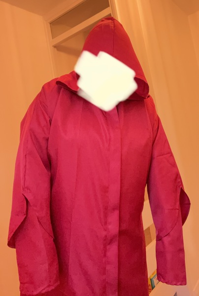 Oh fuckity fuck - no hallowe’en costume.  PLEASE HELP 🥺