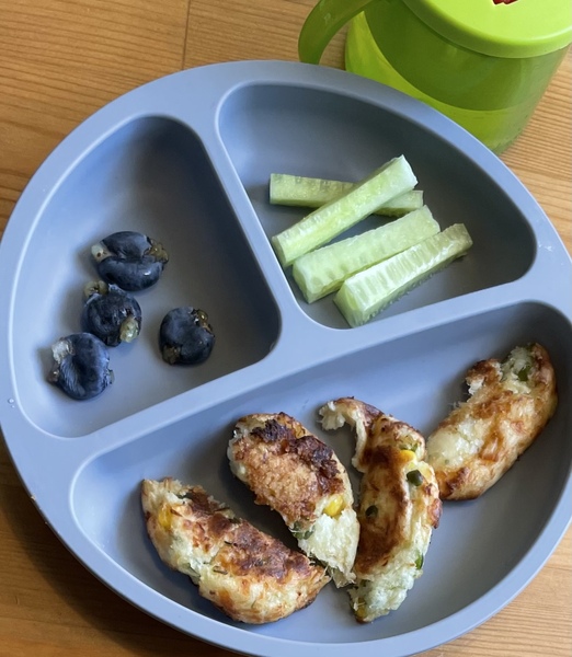 Pictures of your 6-12 month old meals?