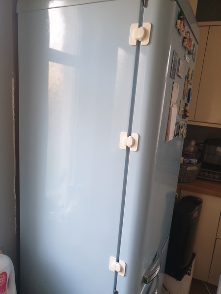Cat going in my fridge