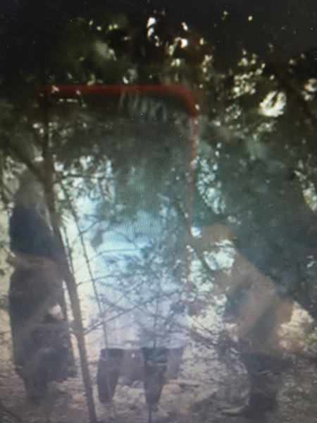 Can someone explain what my son saw?