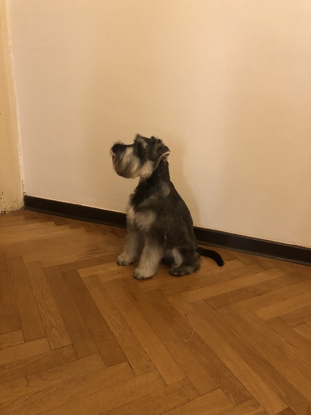 Ralph