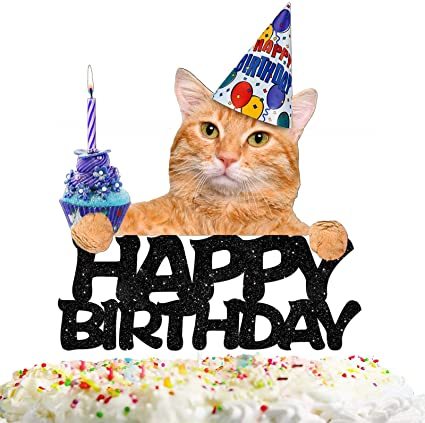 Happy birthday to MNetter *Ilovemycatsomuch*