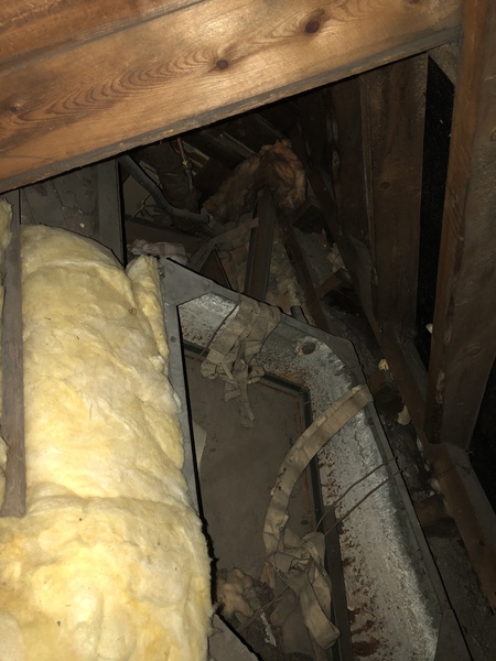 How to insulate an Edwardian House properly