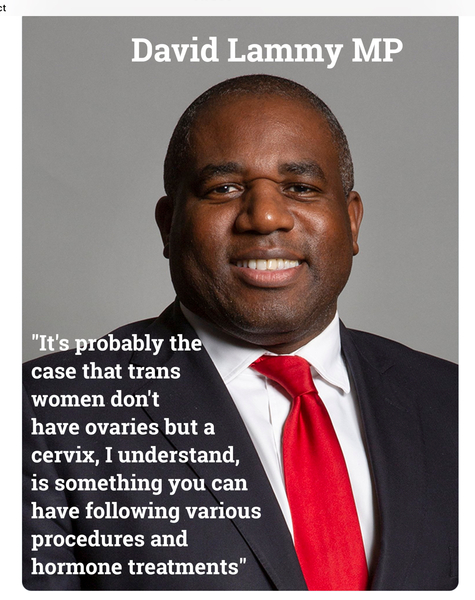 David Lammy pulls up Dominic Raab: 'mysogyny'...