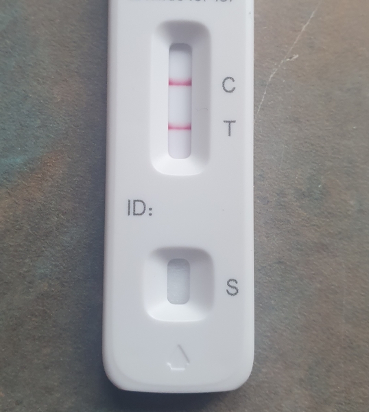 Lateral flow tests always positive