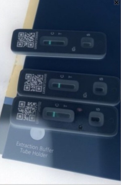 these are negative,yes?