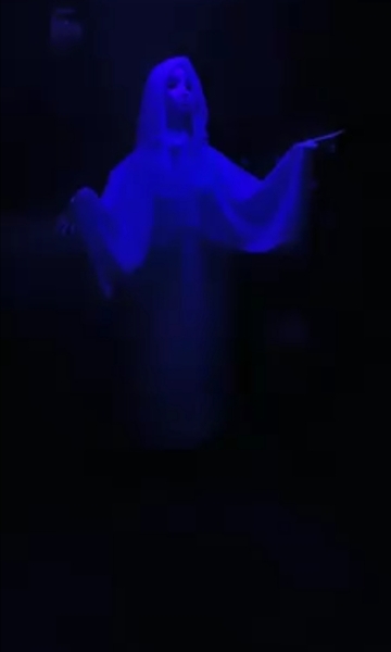 How much would you spend on Halloween decorations