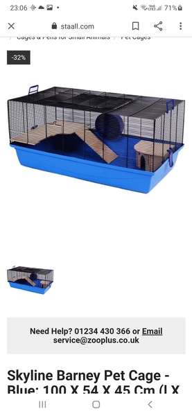 How to make a hamster happy