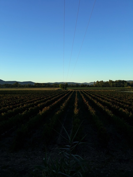 Brexit Megathread - Part 2 because it's not over by a long shot