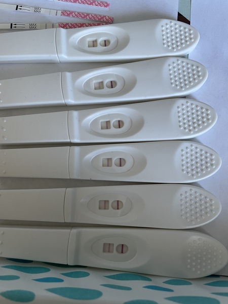 Positive OPK?