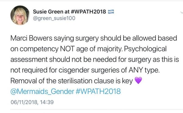 Abigail Shrier - Marci Bowers - critical of puberty blockers