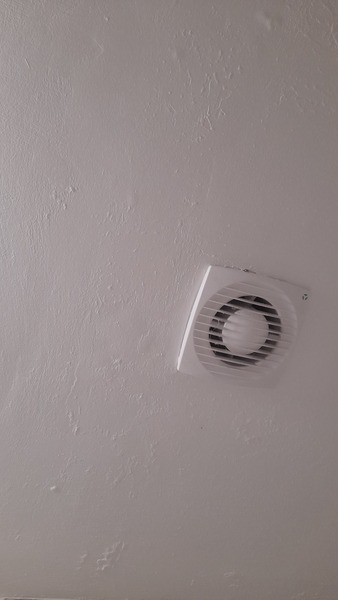 Any plasterers or decorating experts?