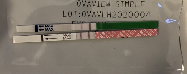 Beware of cheap OPKs