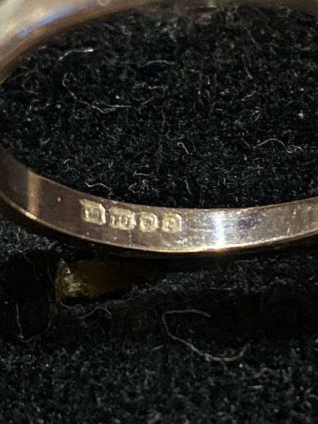Can anyone give me an idea of the age of this ring?