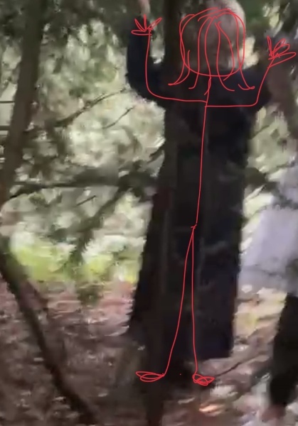 Can someone explain what my son saw?