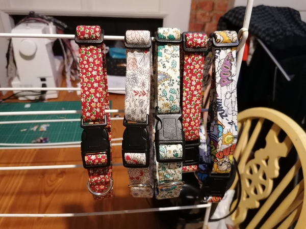 Dog people would you buy this type of collar? ?