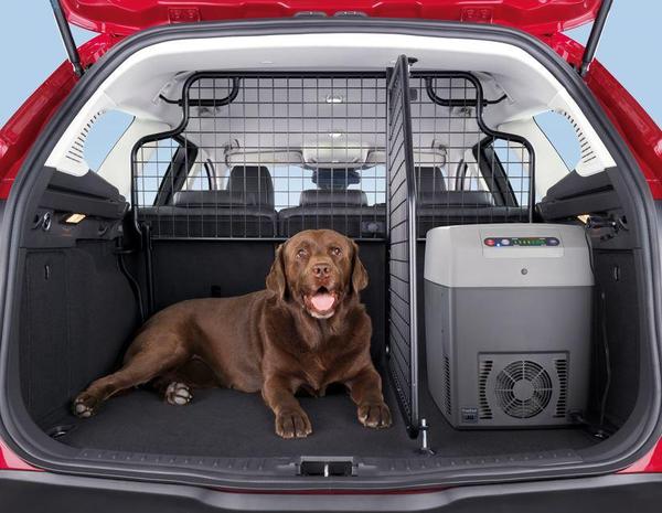 If you’ve got a Labrador or similar size dog, what car do you drive?
