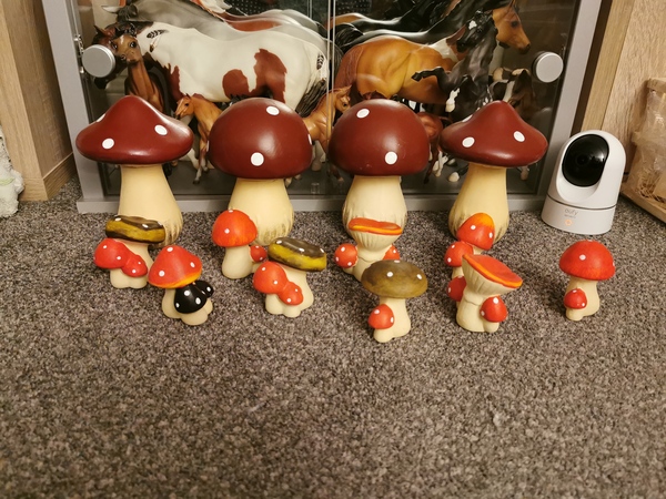 Any Witches Here? Part 15