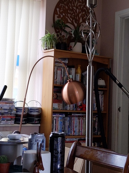 narrow living room