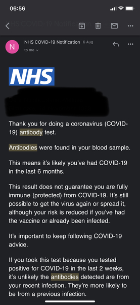 Anyone else had the antibody tests after Covid ?