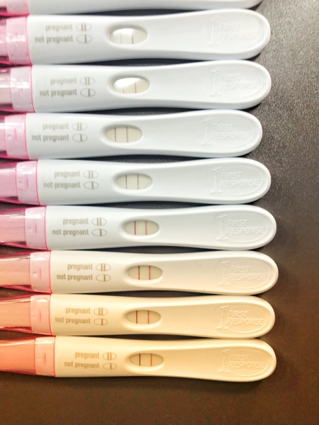 28dpo - tests neither getting lighter or darker