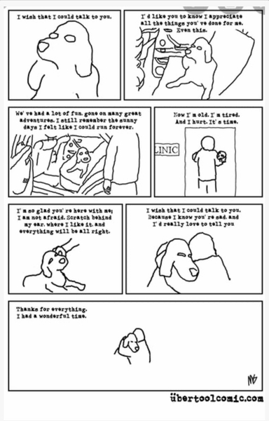 Putting dog to sleep - feeling guilty