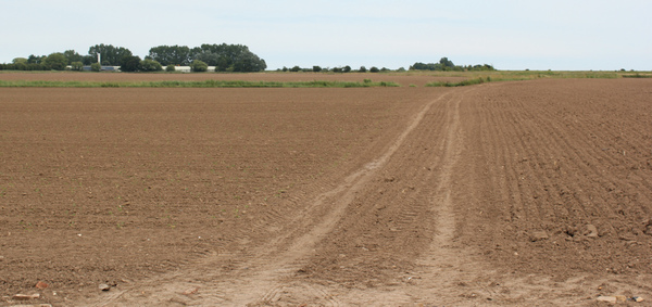 Anybody live in or around Swineshead/Boston?!