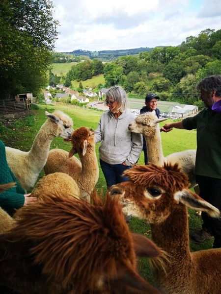 Knit, Crochet and Natter 6: Where there's a wool there's a way