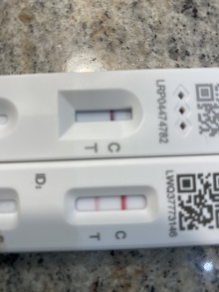 New Flow Flex lateral flow tests v the old style ones?!