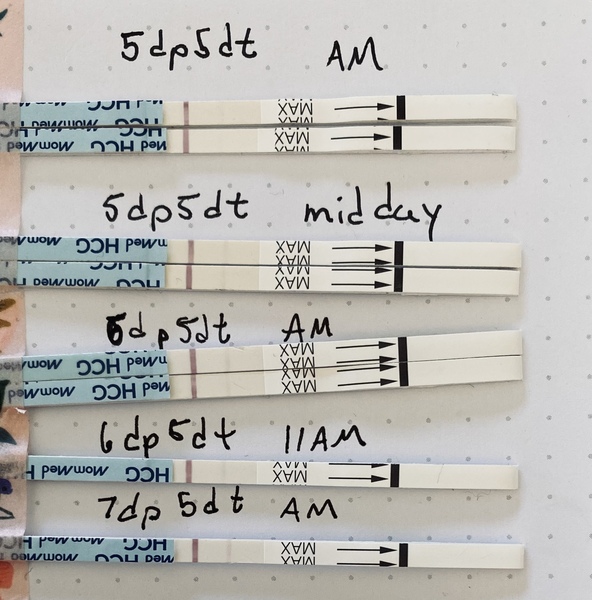 Anyone else 9/10 dpo?