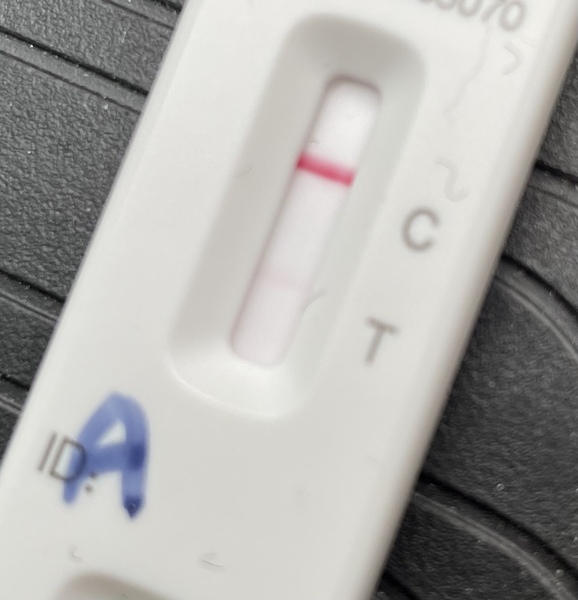 Lateral flow tests always positive