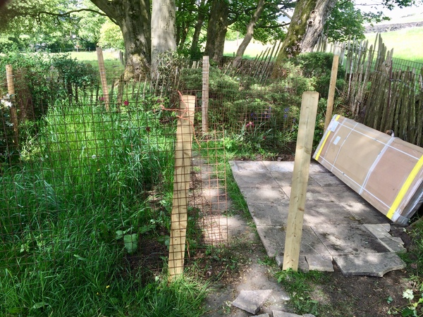 Aibu to say the guinea pigs will be ok in the greenhouse over winter?