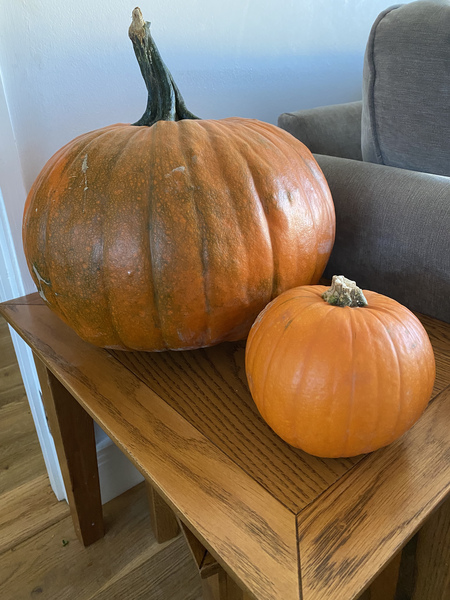 Savvy savers sashaying through September