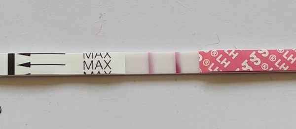 Would you say this is a positive opk?