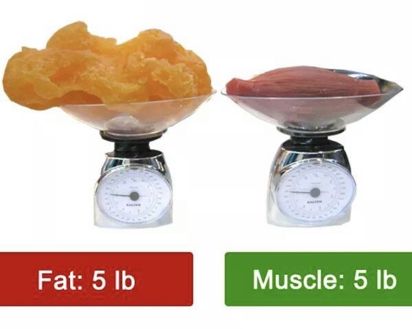 Child's gained weight with daily exercising