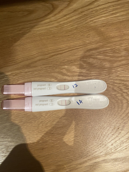 Due June 2022