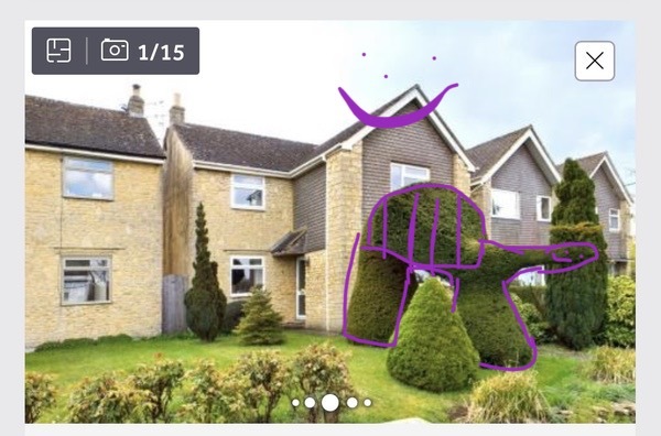 What is this hedge meant to be?!