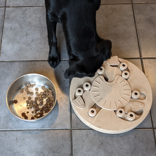 Knit, Crochet and Natter 7: the School of Stitchcraft and Wizardry