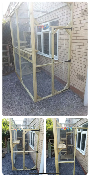 Cat lead or spend a fortune cat proofing the garden?