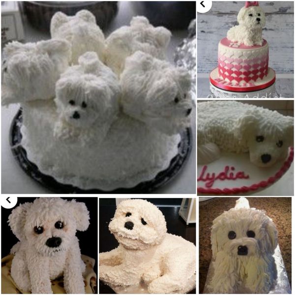 AIBU to be disappointed in this cake…