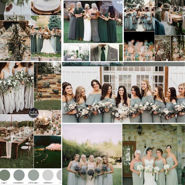 I can't agree on a colour...