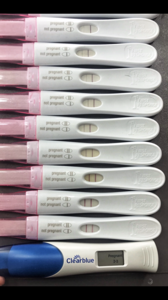 18dp5dt / 23dpo Very worried about line progression